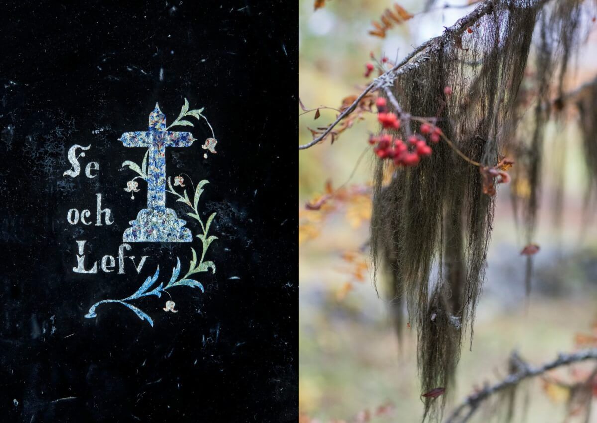 Utställningen Se och lefv